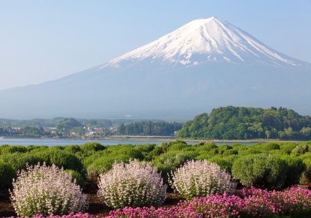 20011798 – mountain fuji in spring