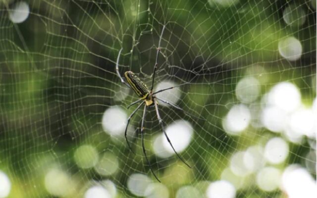 pułapka refinansowanie