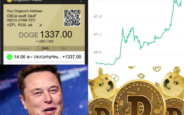 dogecoin to żart
