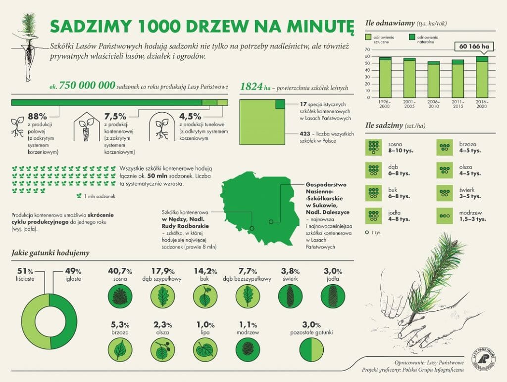 sadzenie_lasu_2021_min