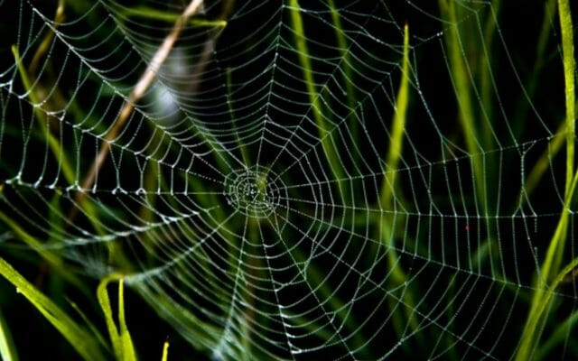 nowy wskaźnik zemsta banków