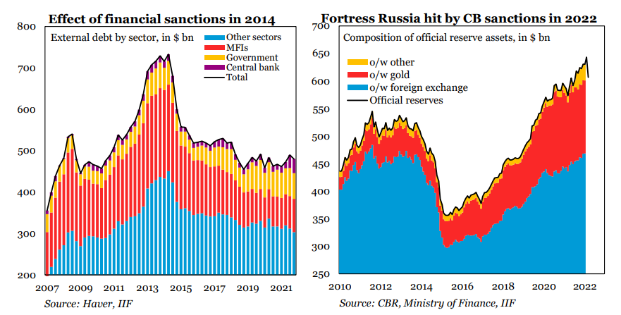 Rezerwy walutowe Rosji (źródło: Elina Ribakova)