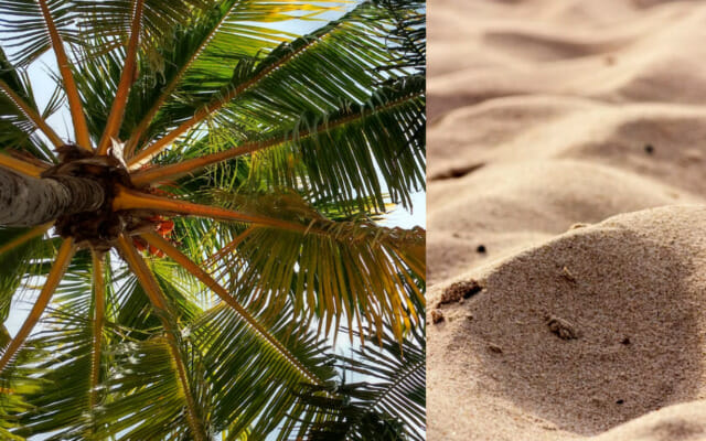 nad polskim morzem czy nnd śródziemnym