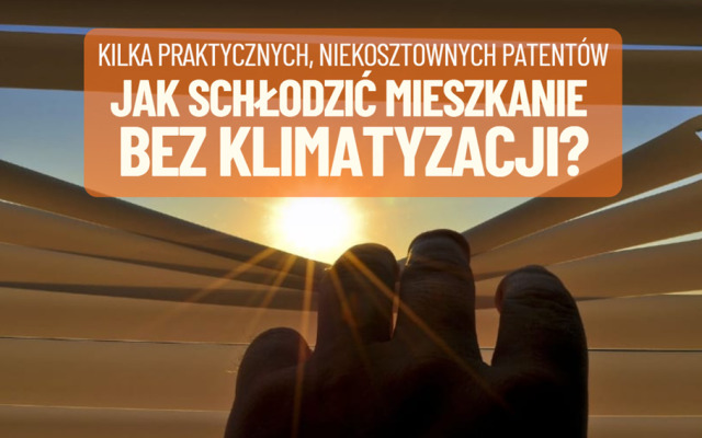 Jak schłodzić mieszkanie w upalne lato i nie wydać fortuny? Sprawdzone patenty dla tych, którzy nie mają klimatyzacji