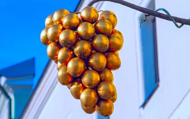 złote winogrona