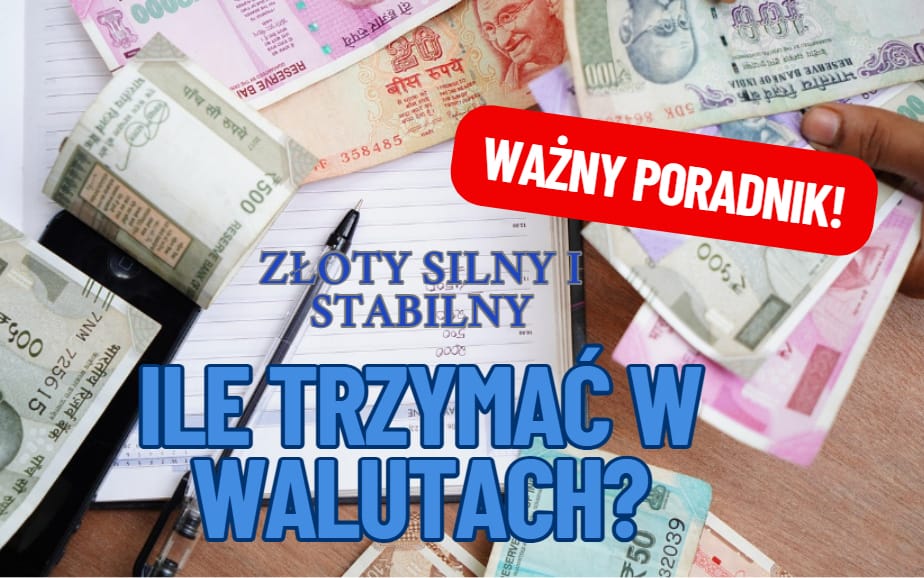 Złoty silny i stabilny. Jaką część oszczędności w tych okolicznościach trzymać w obcych walutach? I w których? Szukamy „spokojnych przystani”