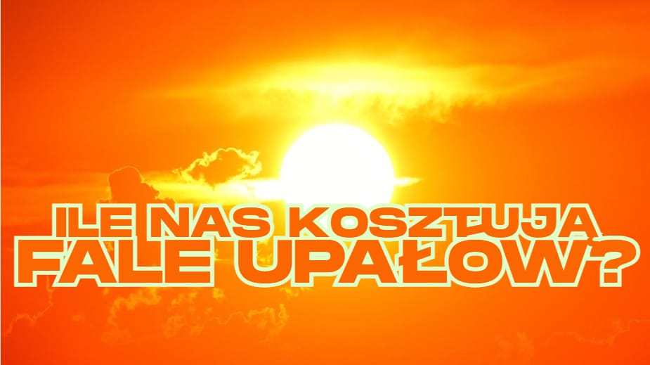 Żar leje się z nieba. Nie za darmo. Ile kosztują nas fale upałów? Oni to policzyli i ostrzegają przed zagrożeniami oraz… grzybami