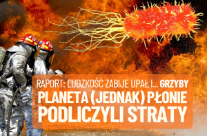 fale upałów planeta płonie