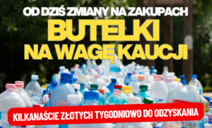 co zmienią kaucje
