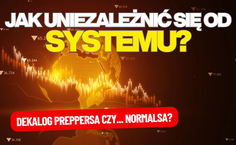 Jak być gotowym na kryzys i uniezależnić się od systemu? Oto dekalog inspirowany dotychczasowymi kryzysami. Co zrobić, by przetrwać wstrząs?