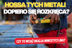 na rynku tych metali najlepsze przed nami? hossa metali przemysłowych