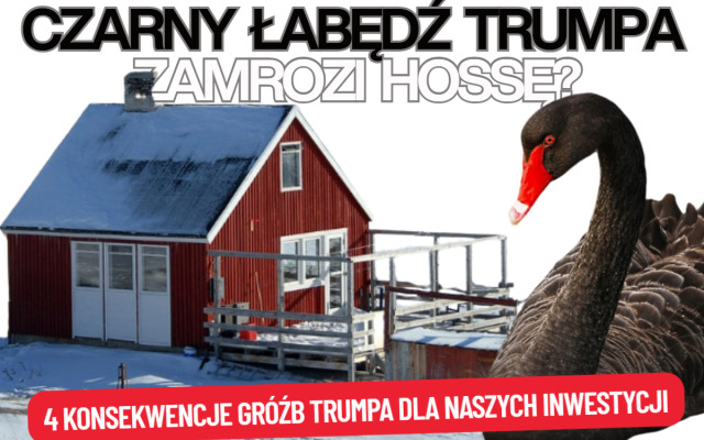 Trump zapowiedział dodatkowe cła na Europę, dopóki ta nie odda mu Grenlandii. To „czarny łabędź”? Cztery możliwe konsekwencje dla portfeli