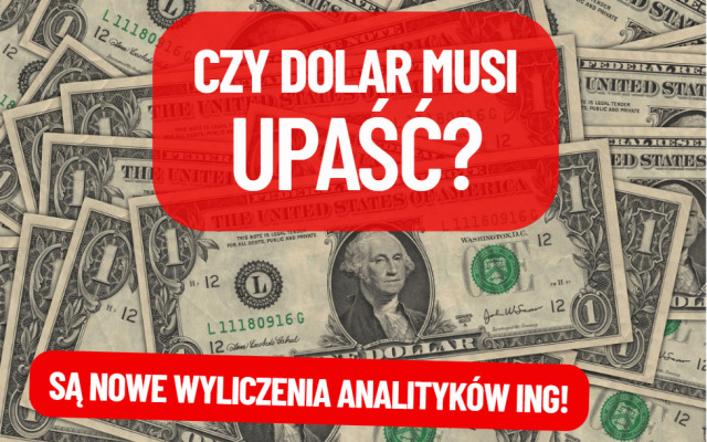 „Zielony” utracił część statusu „bezpiecznej przystani”. Ale czy to oznacza, że musi upaść? Poznajcie „Safe Haven Index”. Co pokazuje?