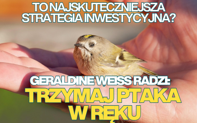 Grunt to trzymać ptaka w ręku, radzi Geraldine Weiss w swojej strategii dywidendowej. Policzyłem, jak ona sprawdza się w polskich warunkach. Szok!