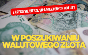 w poszukiwaniu walutowego złota
