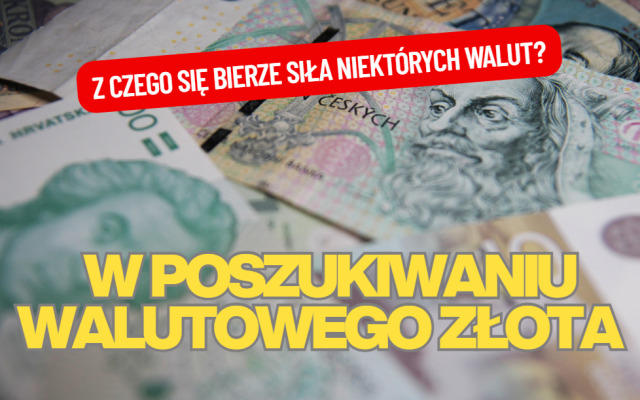 w poszukiwaniu walutowego złota
