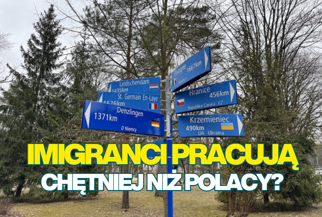 Imigranci zabiorą nam pracę? Z nowych statystyk wynika, że… są bardziej aktywni zawodowo niż rodowici Polacy. To problem czy zbawienie?