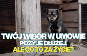 wibor pożyje dłużej