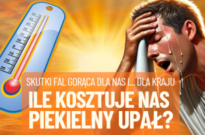ile kosztują nas upały