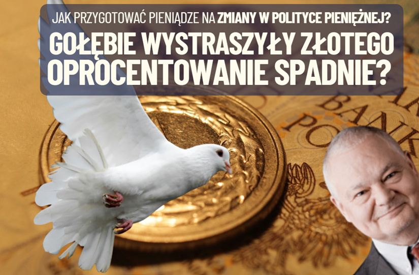 Gołębie w Radzie Polityki Pieniężnej zrywają się do lotu. Nie za wcześnie? Już wystraszyły złotego. Co z tego wyniknie dla naszej kasy?