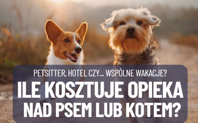 Ile kosztuje opieka nad psem lub kotem w wakacje? Hotel czy petsitter? A może zabrać pupila w podróż? Porównuję koszty wakacji dla psiatych i kociatych