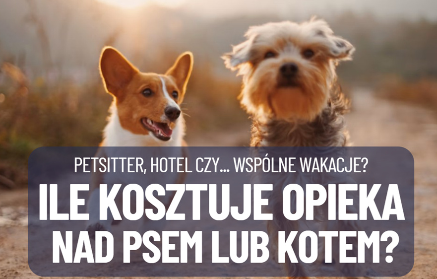 Ile kosztuje opieka nad psem lub kotem w wakacje? Hotel czy petsitter? A może zabrać pupila w podróż? Porównuję koszty wakacji dla psiatych i kociatych