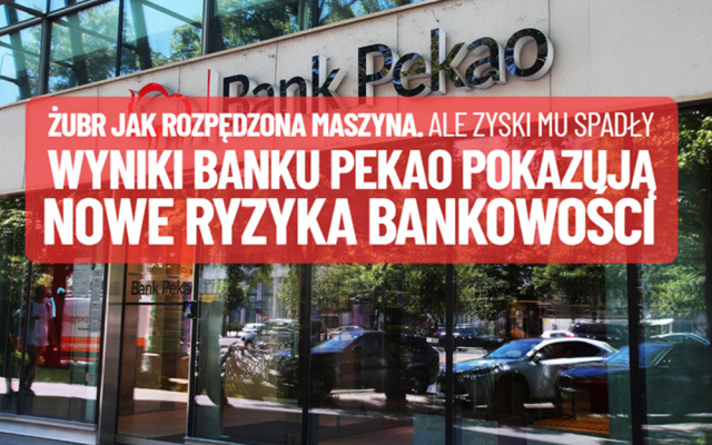 Bank Pekao jak rozpędzona maszyna, ale zyski spadły. Banki walczą o klientów, ale obawiają się już nie tylko o złe kredyty i stopy NBP. Jest nowe ryzyko