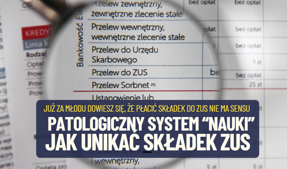 Florystyka, czyli nauka kombinowania. Patologiczny system „kształcenia” młodego pokolenia. Uczymy ich… unikania składek ZUS