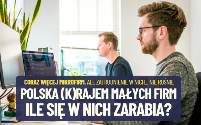 Polska (k)rajem jednoosobowych firm? Ile zarabia pracownik, a ile właściciel? GUS pokazuje drugą twarz polskiej przedsiębiorczości