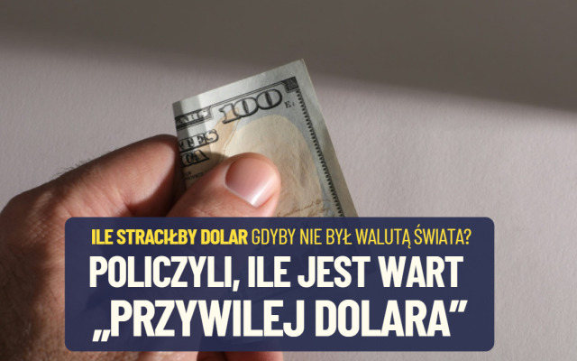 Policzyli, ile wart jest „przywilej dolara”! Ile Ameryka płaciłaby za obligacje, gdyby dolar nie był walutą rozliczeniową? Jaki byłby kurs dolara?
